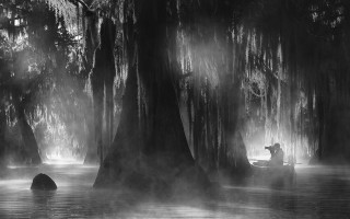 Man boat swamp trees fog - a man in a boat free wallpaper