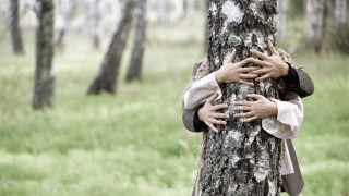 Person hugging tree forest hands - a tree in a forest free wallpaper