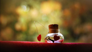 Bottle heart inside table red 3 - a bottle free wallpaper