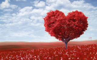 Heart shaped tree field flowers 9 - didier mouron free wallpaper