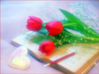 Book pen flowers heart table - romantic free wallpaper for desktop