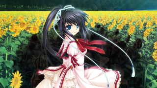 Woman dress sunflowers black hair - a woman in a dress free wallpaper