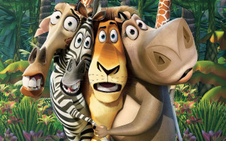Cartoon zebra giraffe jungle together - each others eye free wallpaper