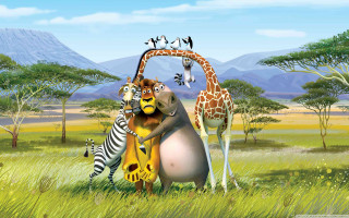 Giraffe zebra animals field trees - a giraffe free wallpaper