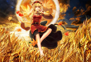 Woman flying wheat orange flower - a field of wheat free wallpaper