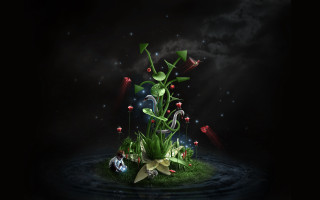 Green plant flower water sky - a green plant free wallpaper