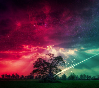 Colorful sky tree shooting star 2 - free sky wallpaper for tablet