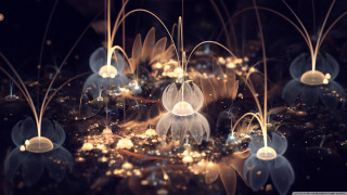 Jellyfish group floating pond water - a pond of water free wallpaper