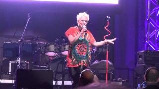 Man stage microphone holding standing - his hand and a microphone free wallpaper