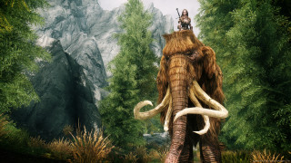 Man riding elephant forest trees - majestic free wallpaper