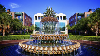 Fountain pineapple building trees background - a pineapple free wallpaper