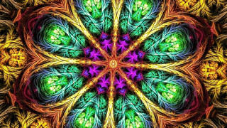 Colorful flower green center surrounded - dmt free wallpaper