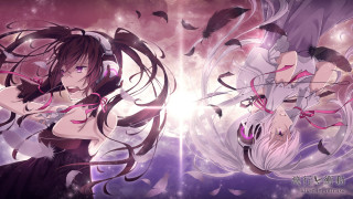 Woman long hair feathers flying - feather free wallpaper for desktop