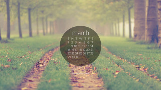 Forest path calendar background nature - a path in the middle of a forest free wallpaper