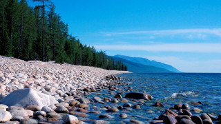 Rocky shoreline trees water blue - tree and water free wallpaper