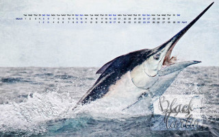 Large white marlin jumping fishing - foto realistic free wallpaper