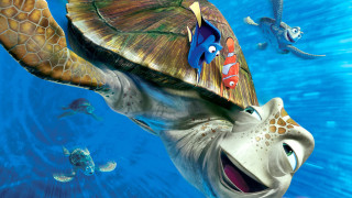 Turtle fish swimming ocean Finding - the ocean together free wallpaper