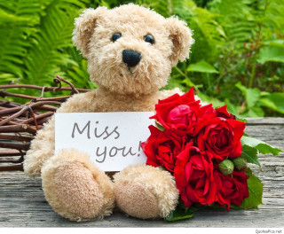 Teddy bear miss you bouquet 2 - a bouquet of flowers in front free wallpaper