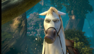 Horse nose ring forest trees - a horse free wallpaper