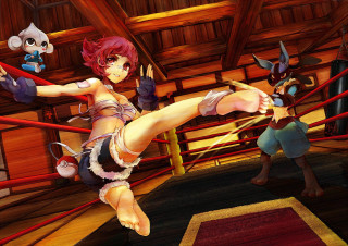 Woman ring kicking cat toy - a toy free wallpaper