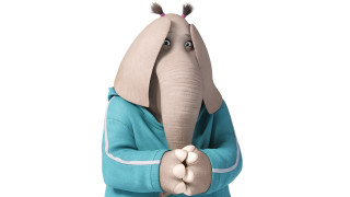 Person blue sweatshirt holding elephant - character free wallpaper