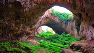 Cave large opening lush forest - a cave free wallpaper