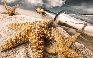 Bottle starfish beach sand seashell - a bottle free wallpaper