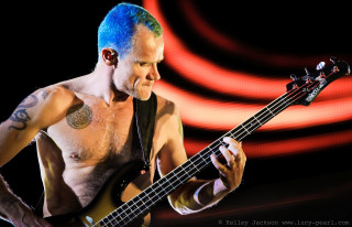 Blue haired man playing bass - adam dario keel free wallpaper for desktop