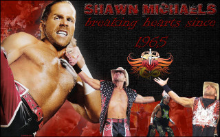 Man hat tie bald beard - a picture of him free wallpaper