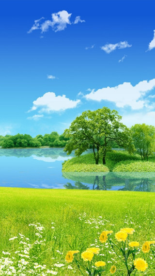 Green field flowers lake blue - beautiful landscape free wallpaper for mobile