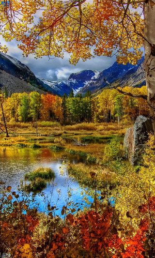 Lake trees mountains fall leaves - beautiful landscape free wallpaper for mobile