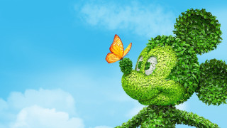 Green cartoon character butterfly head - a blue sky background free wallpaper for desktop