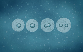 Bubbles floating air blue background 3 - the air next free wallpaper