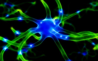 Blue green flower black background 2 - biopunk free wallpaper