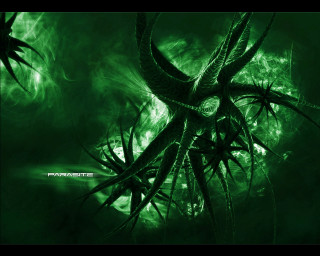 Green black background tree branch - lovecraftian free wallpaper