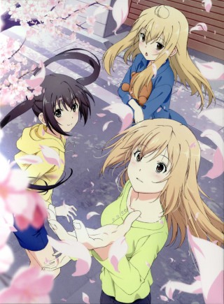 Anime girls tree pink flowers 8 - a tree free wallpaper for mobile