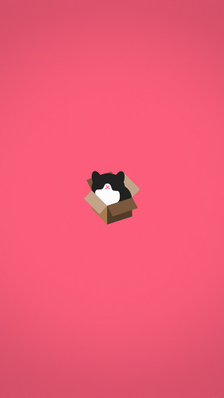 Box cat pink background black - postminimalism free wallpaper for mobile