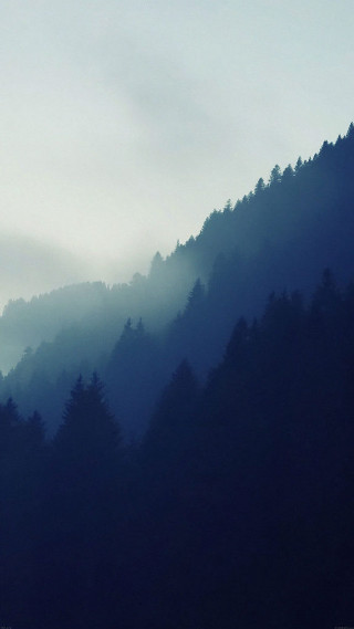 Plane flying mountain trees fog - ada hill walker free wallpaper for mobile