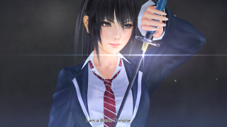 Woman suit sword wine glass - character portrait free wallpaper