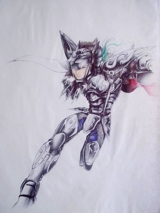 Cat woman suit sword armor - her back free wallpaper for mobile