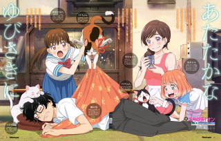 People cats table group laying - a table in front free wallpaper