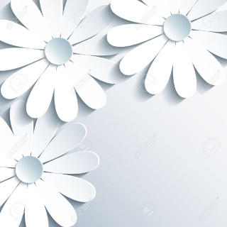 White paper flower background minimalism - claire dalby free wallpaper for tablet