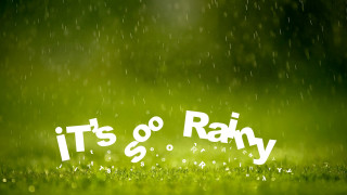 Green grass rain white letters - letterism free wallpaper
