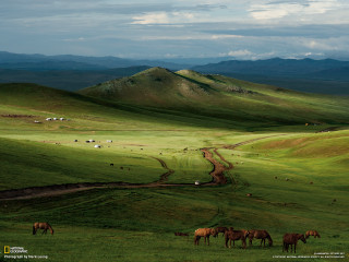 Horses grazing green field mountains - adobe lightroom free wallpaper