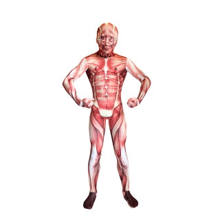 Muscular man full body suit - figurativism free wallpaper for tablet