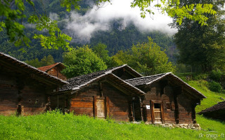 Wooden houses green hillside forest - a lush green hillside next free wallpaper