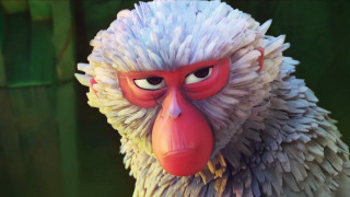 Monkey red nose white hair - chen hong free wallpaper