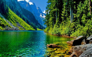 Mountain lake trees rocks background - a mountain lake free wallpaper