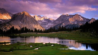 Mountain lake grassy field animals 4 - a grassy field in the foreground free wallpaper