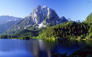 Mountain lake trees background blue 8 - tree and mountains free wallpaper